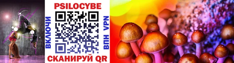 Псилоцибиновые грибы Psilocybe блэк спрут как зайти Лаишево